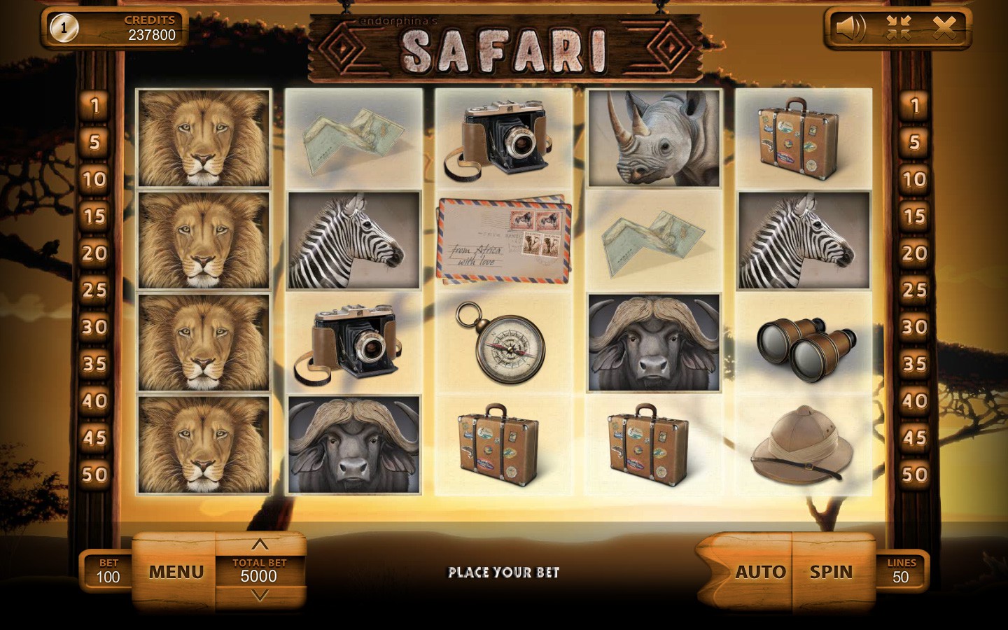 Safari